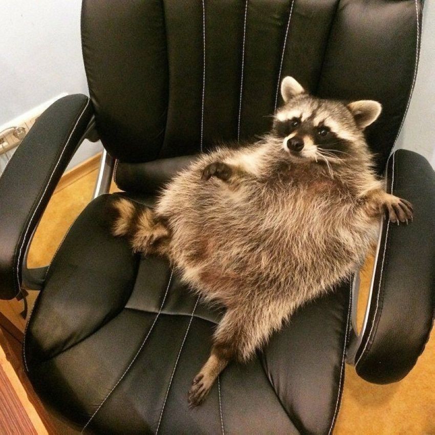����