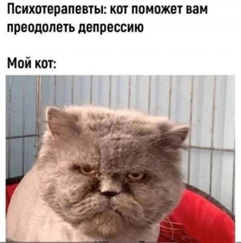 ���