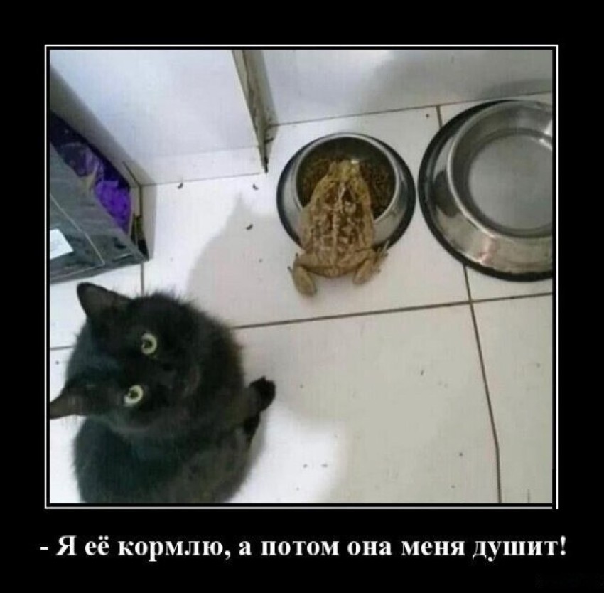 ���