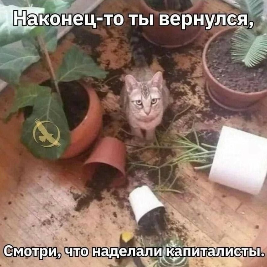 ���