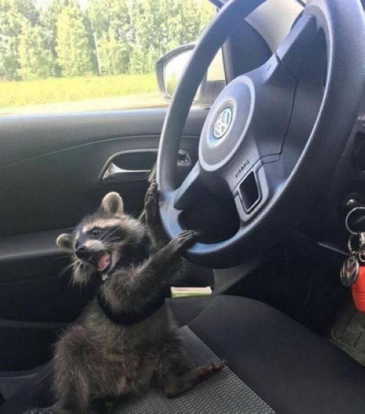 ����
