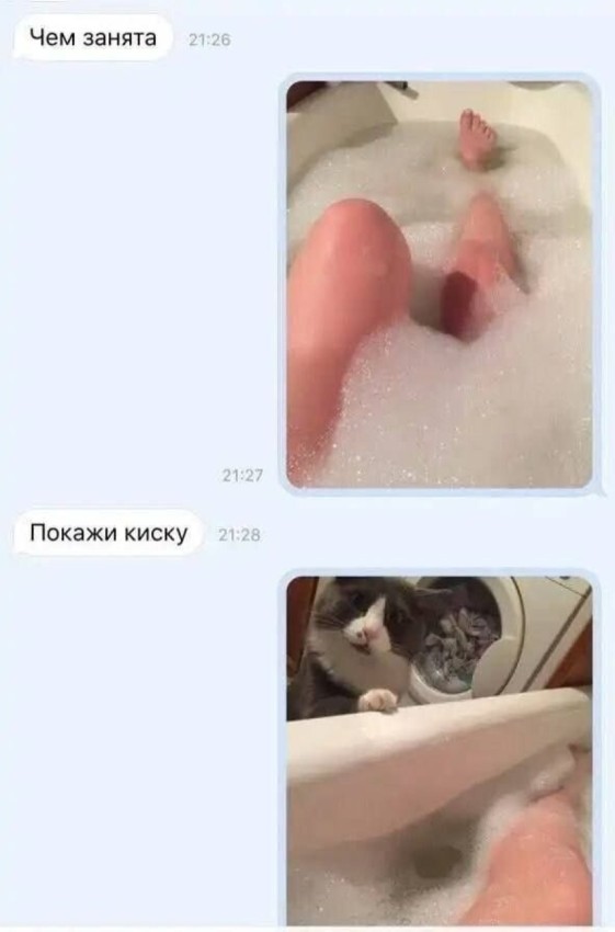 vtv