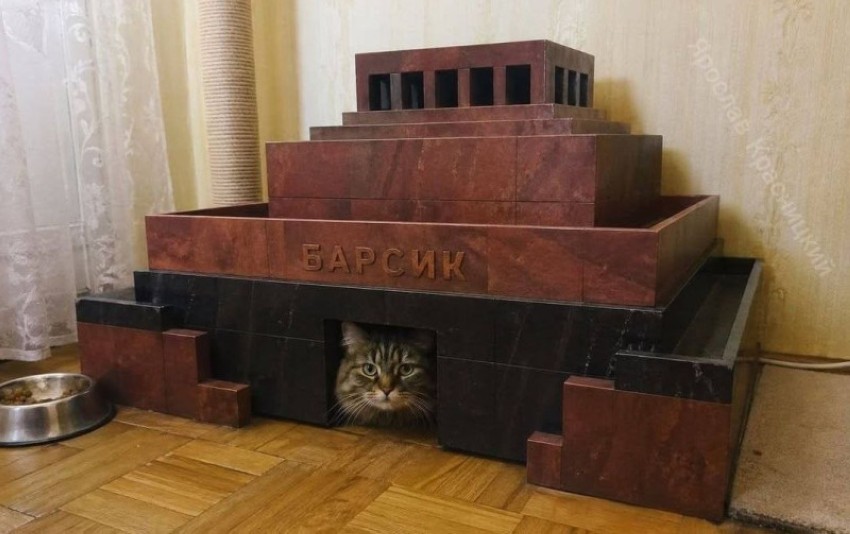 ����