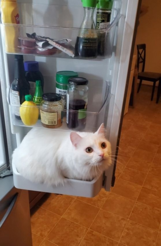 ����