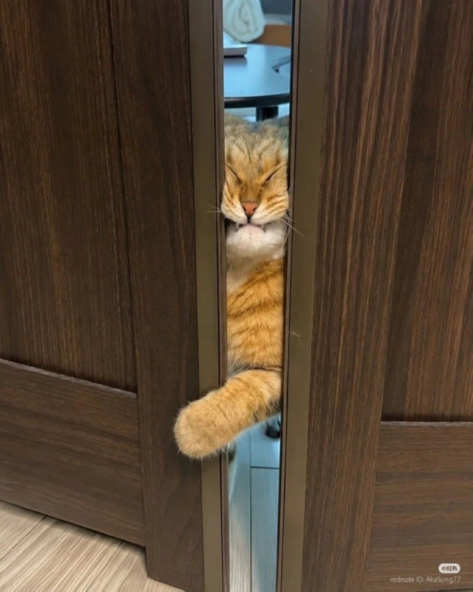 ����