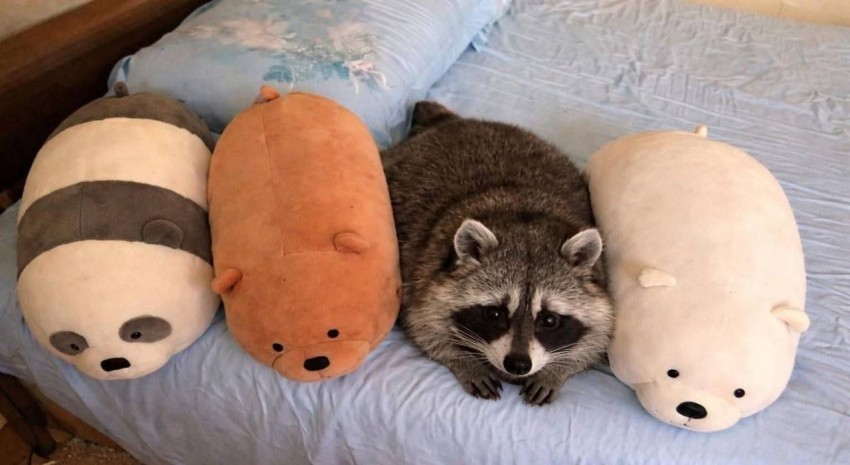 ����