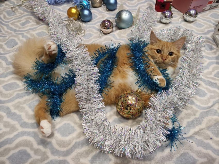 �������