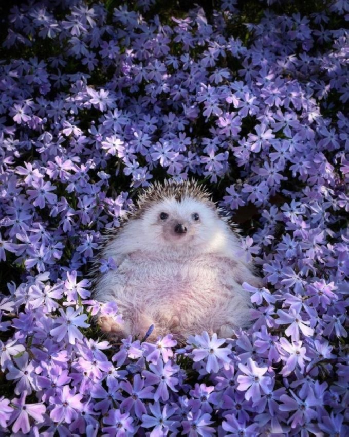 �������