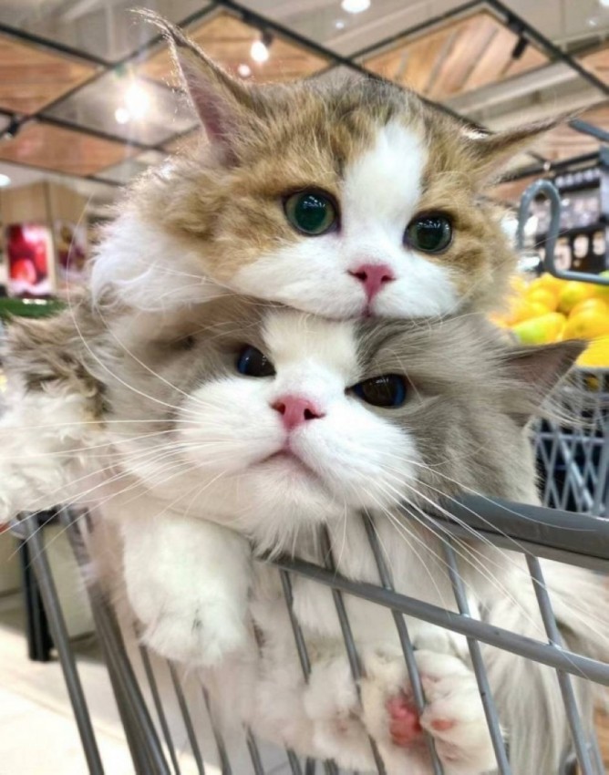 ����