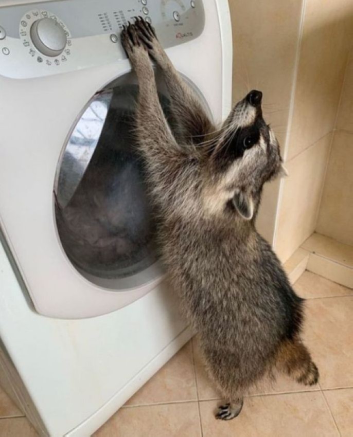 ����