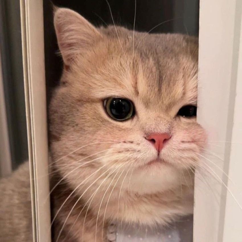 ����
