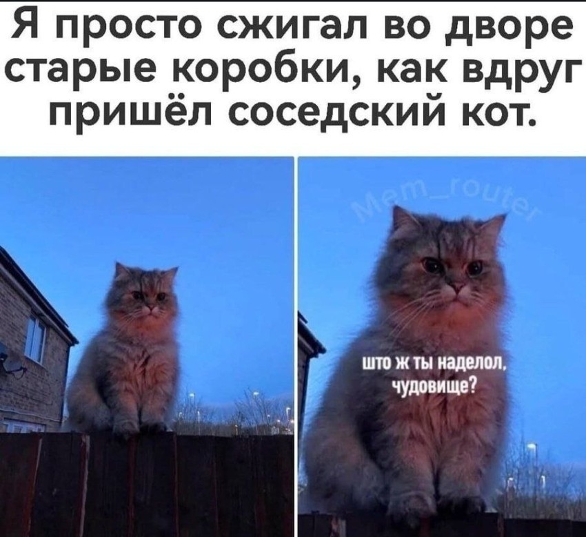 ���