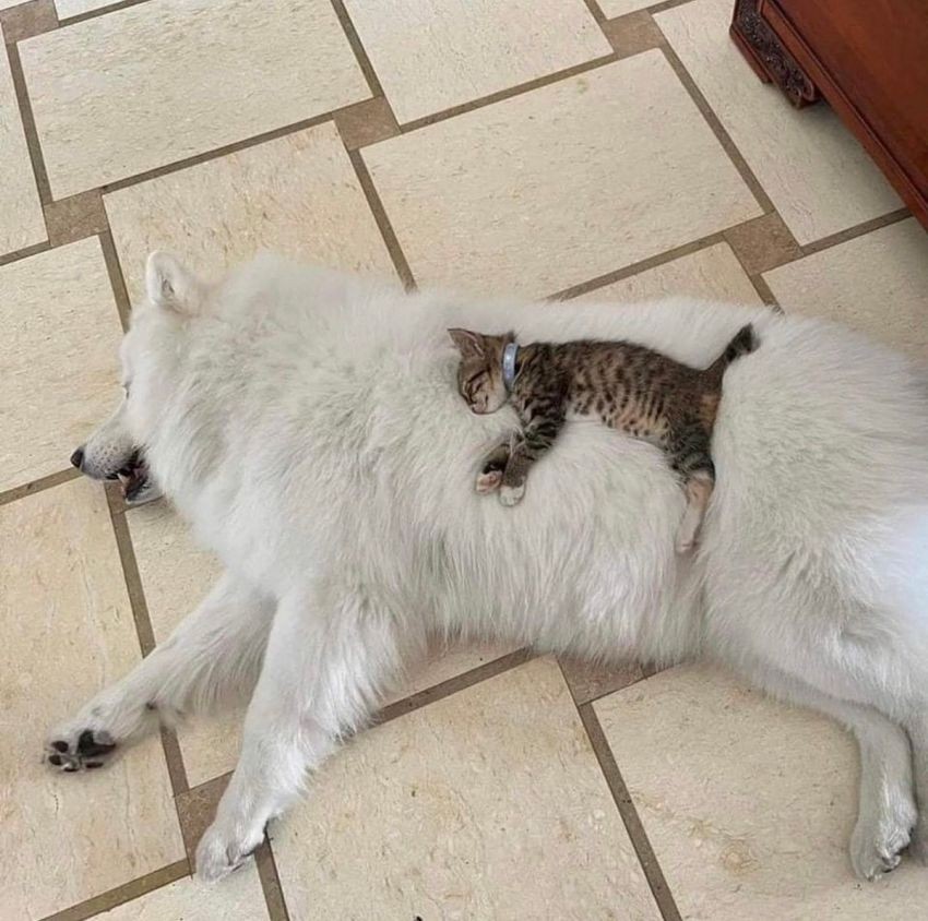 ����