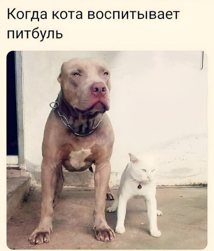 ���