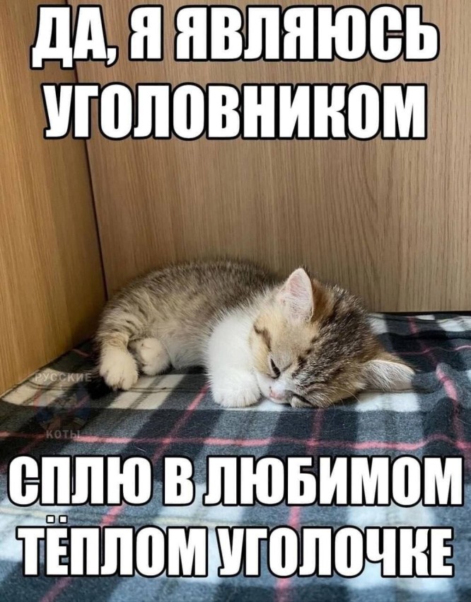 ���