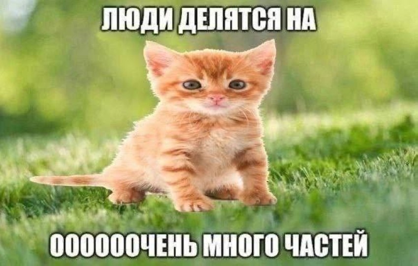 �