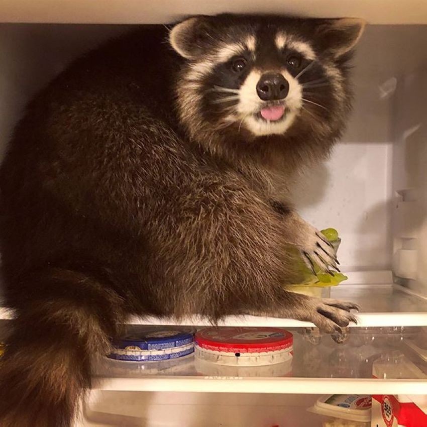 ����