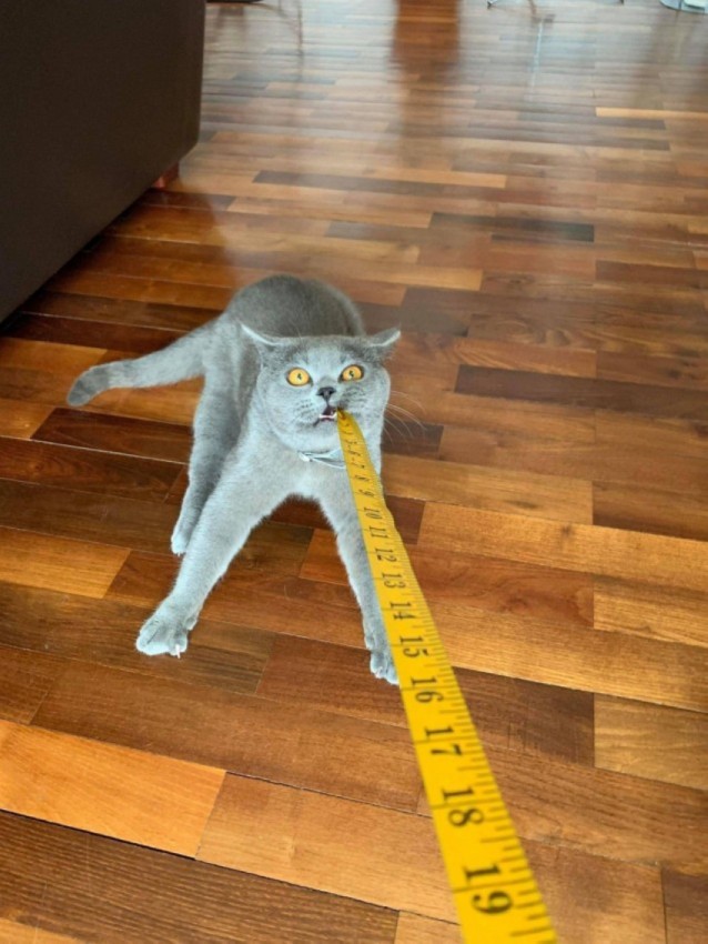 ����