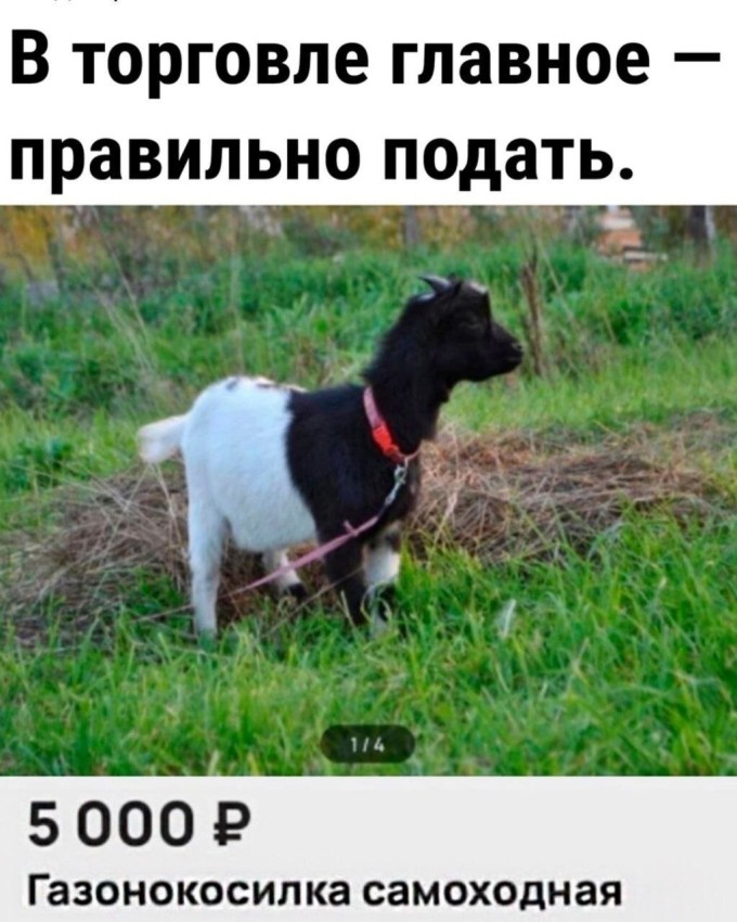 ���