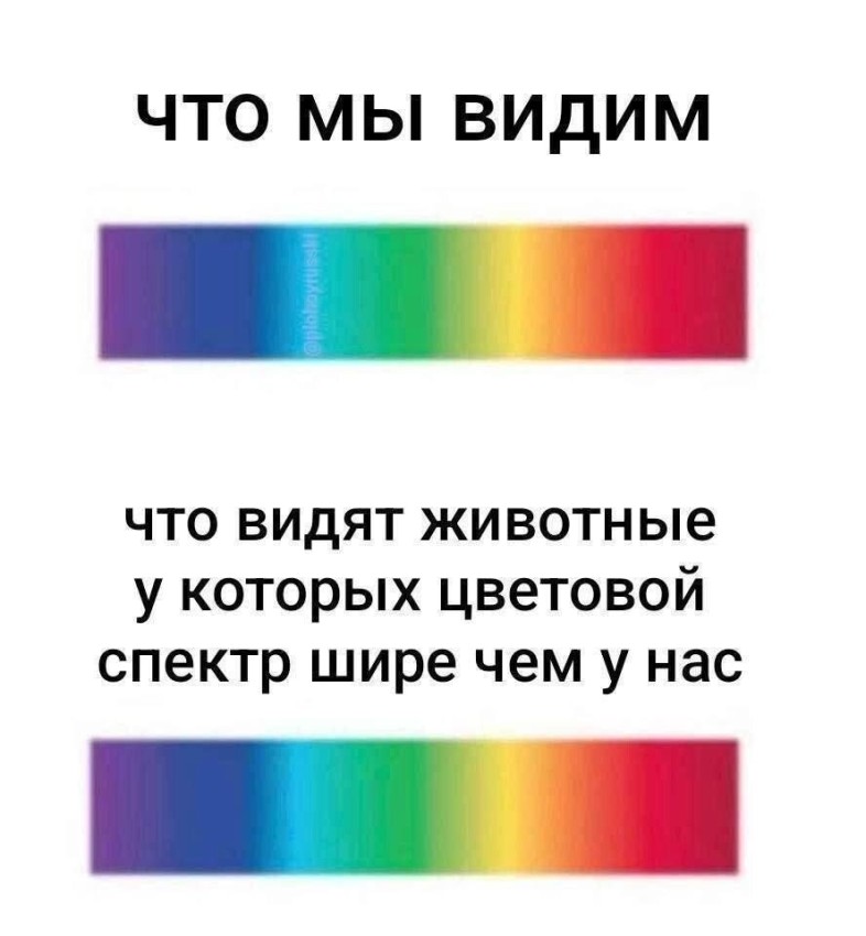 ���