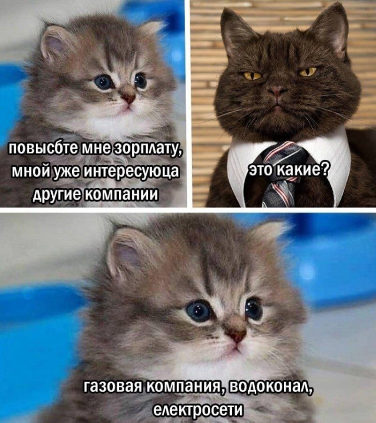 мем