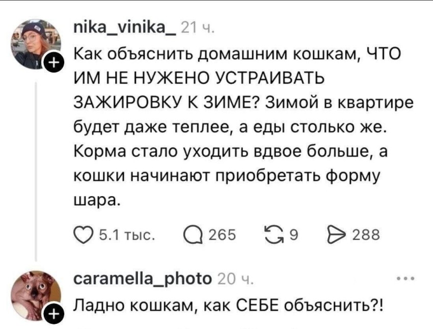 мем