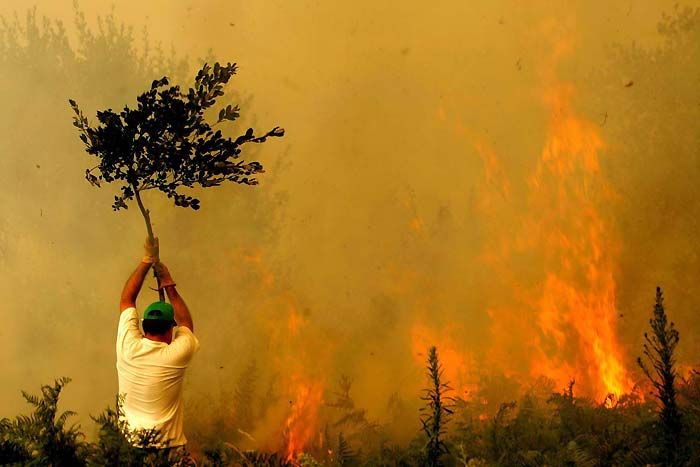 ���� ���� �� Reuters