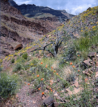 3d ��������