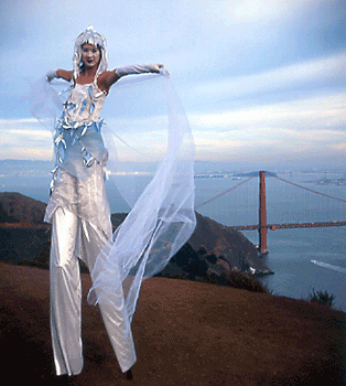 3d ��������