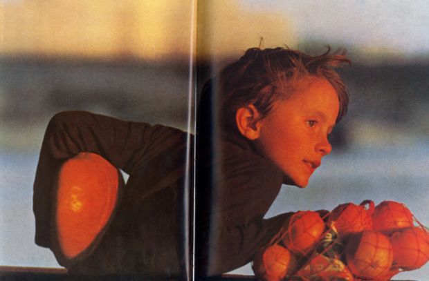 ���������� ����