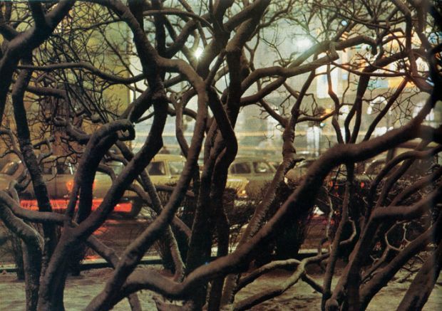 ���������� ����