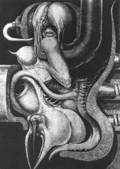 biomechanics by henry giger