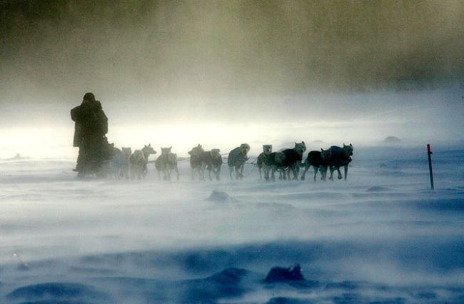 ������ ���� ���� �� Sports Illustrated