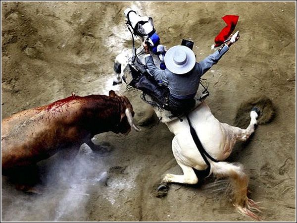 World press photo 2005