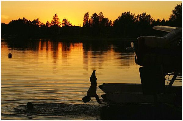 World press photo 2005