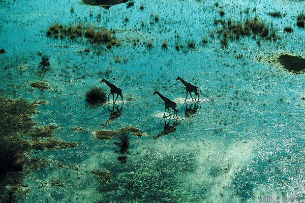 Африка с высоты птичего полета