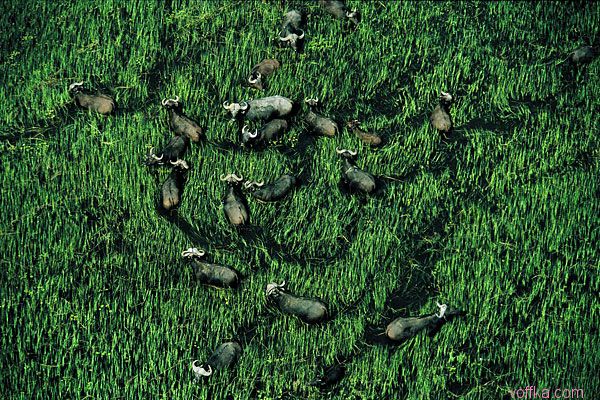 Африка с высоты птичего полета