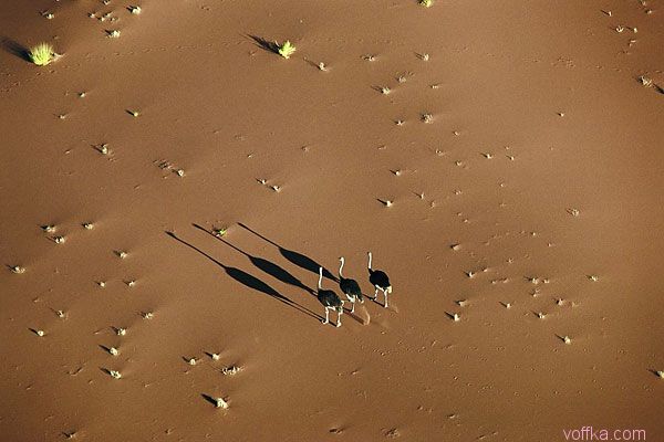 Африка с высоты птичего полета