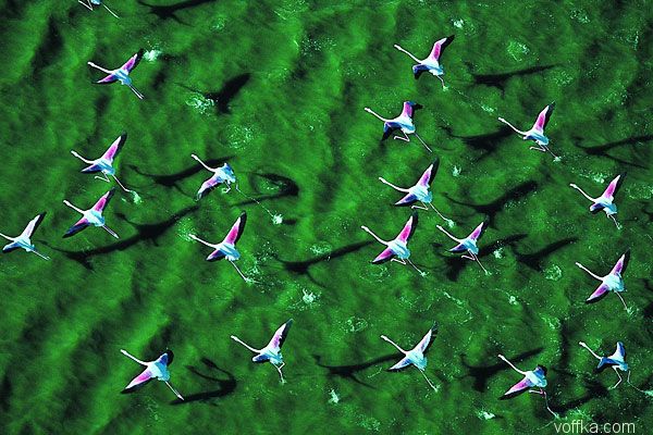 Африка с высоты птичего полета