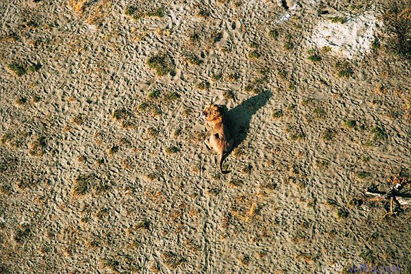 Африка с высоты птичего полета