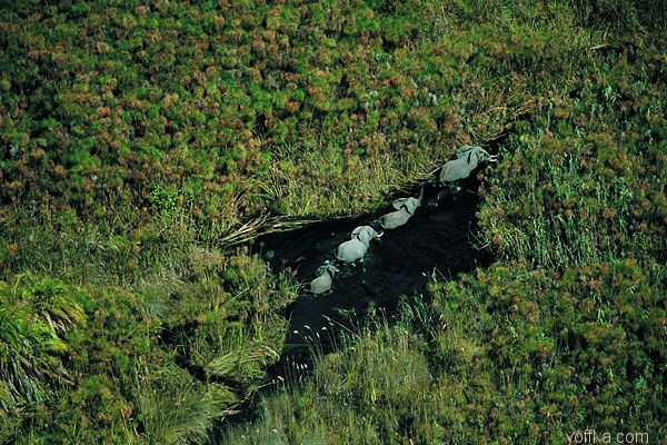 Африка с высоты птичего полета