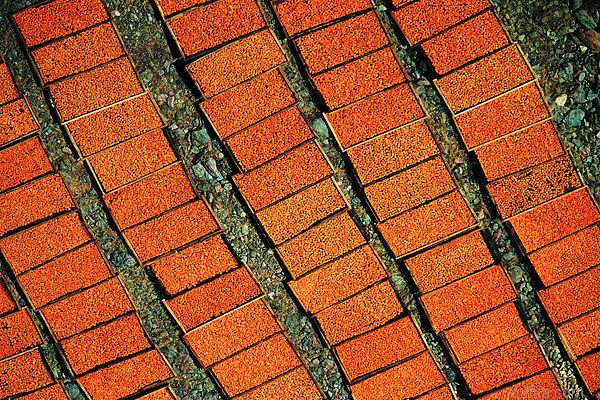 Африка с высоты птичего полета