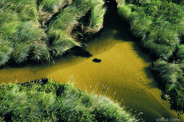 Африка с высоты птичего полета