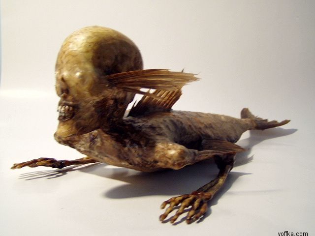 Подводные уродцы