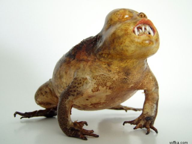 Подводные уродцы