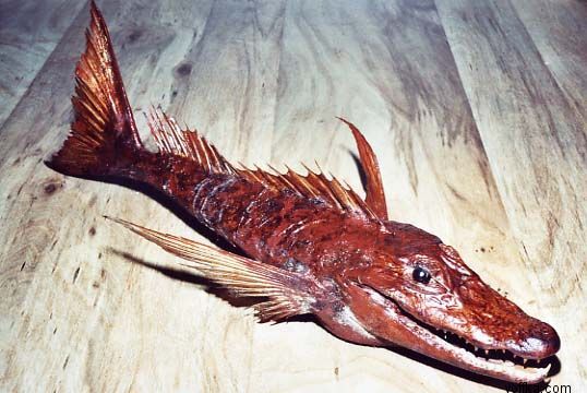 Подводные уродцы