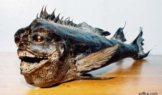 Подводные уродцы