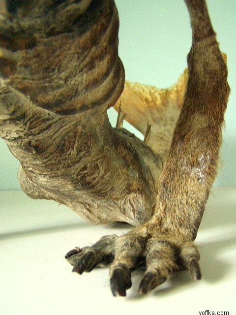 Подводные уродцы