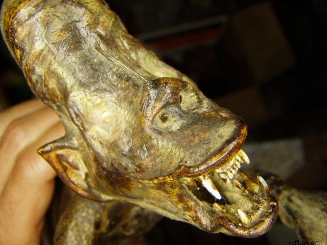 Подводные уродцы