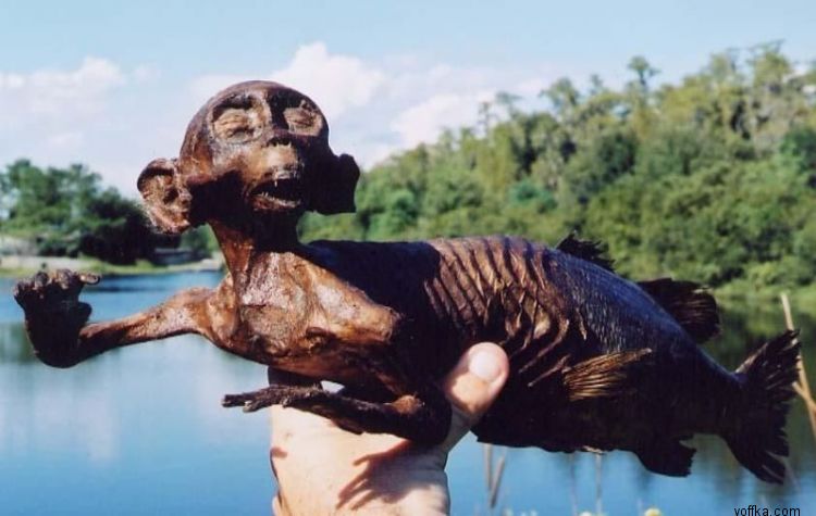 Подводные уродцы